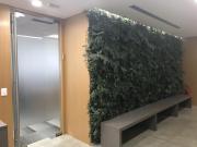 Imagem Indisponível