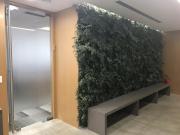 Imagem Indisponível